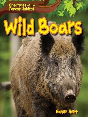 cover image of Wild Boars